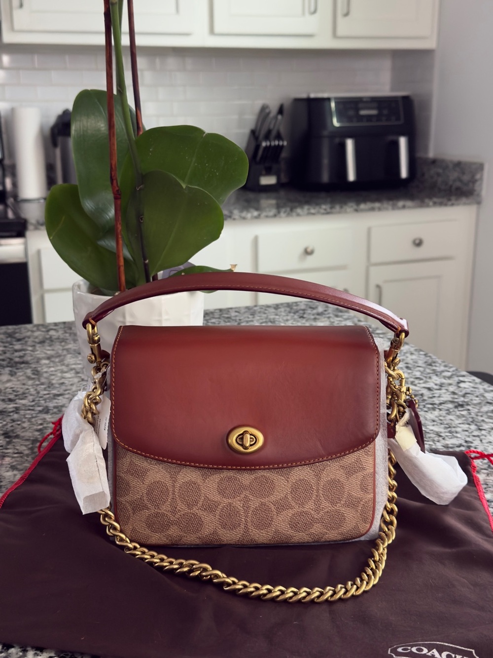 Coach Brown Leather & Signature Canvas Shoulder Bag with Gold Chain
